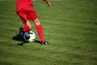 Jiuyou-意甲裁判语义辅助判罚系统提升比赛公平性研究，意甲裁判组